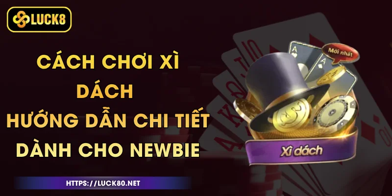 Cách Chơi Xì Dách - Hướng Dẫn Chi Tiết Dành Cho Newbie