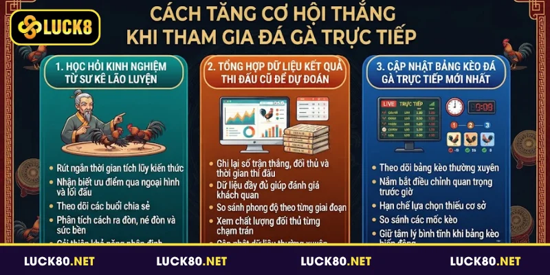 Đá Gà Trực Tiếp - Bản Lĩnh Kê Thủ, Làm Chủ Sới Đấu 2026 4 Cách tăng cơ hội thắng khi tham gia đá gà trực tiếp