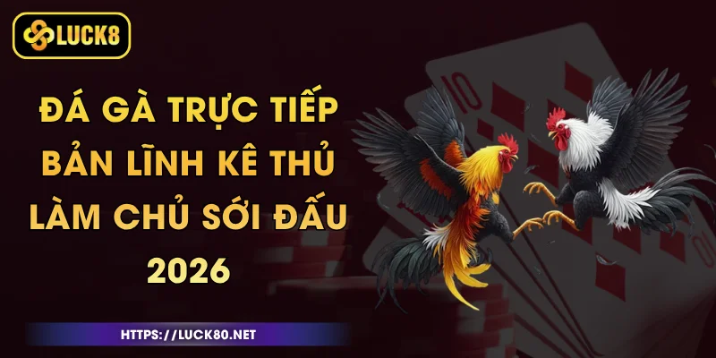 Đá Gà Trực Tiếp - Bản Lĩnh Kê Thủ, Làm Chủ Sới Đấu 2026 1 Đá Gà Trực Tiếp - Bản Lĩnh Kê Thủ, Làm Chủ Sới Đấu 2026