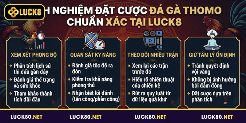 Kinh nghiệm đặt cược đá gà Thomo chuẩn xác tại Luck8