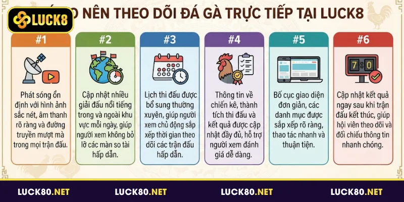 Đá Gà Trực Tiếp - Bản Lĩnh Kê Thủ, Làm Chủ Sới Đấu 2026 3 Lý do nên theo dõi đá gà trực tiếp tại Luck8