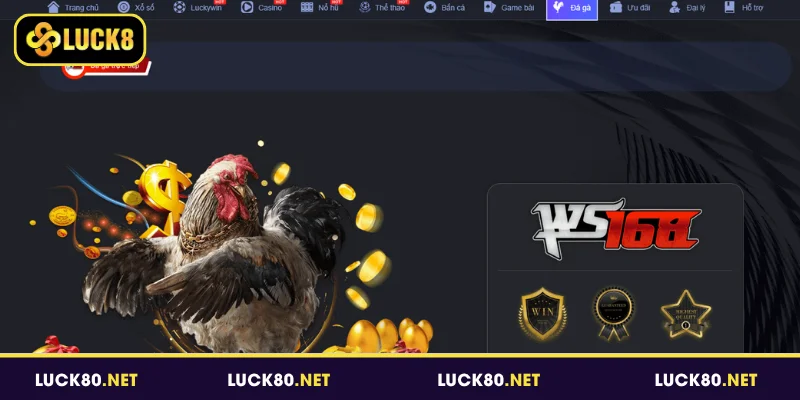 Đá Gà Luck8 - Sân Chơi Giải Trí Được Nhiều Người Yêu Thích 4 Sơ lược sảnh đá gà Luck8