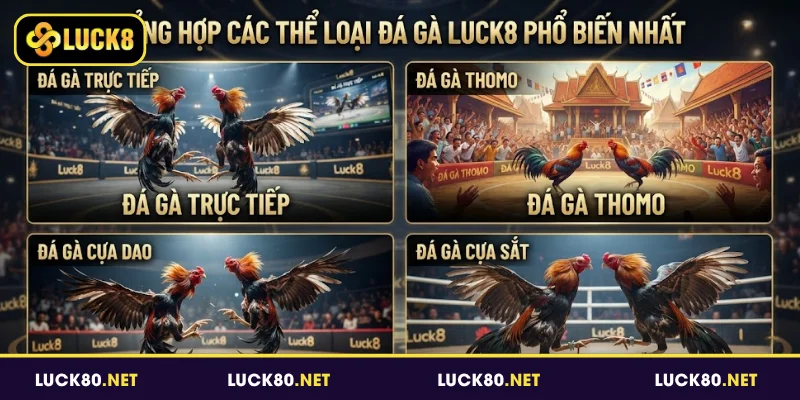 Đá Gà Luck8 - Sân Chơi Giải Trí Được Nhiều Người Yêu Thích 5 Tổng hợp các thể loại đá gà Luck8 phổ biến nhất