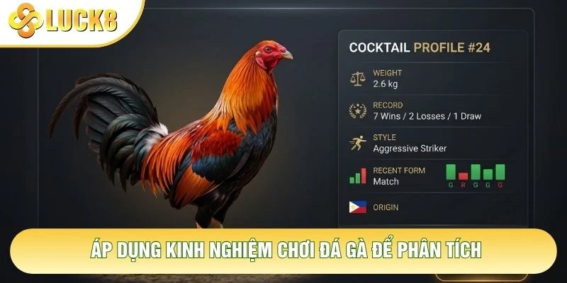 Áp dụng kinh nghiệm chơi đá gà để phân tích Áp dụng kinh nghiệm chơi đá gà để phân tích