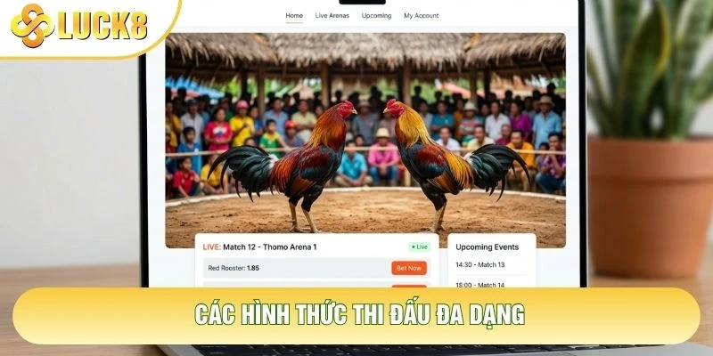 Các hình thức thi đấu đa dạng Các hình thức thi đấu đa dạng