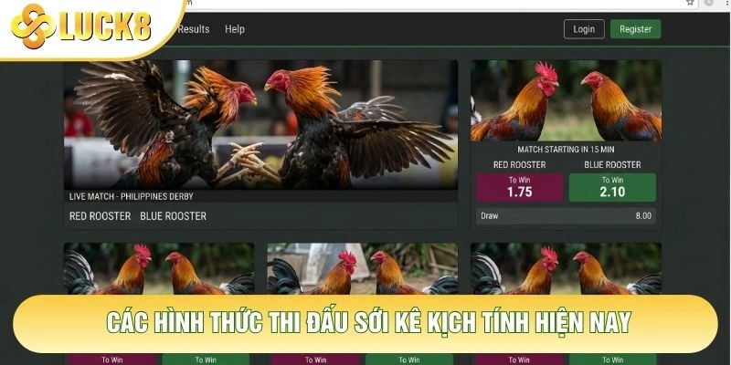 Các hình thức thi đấu sới kê kịch tính hiện nay Các hình thức thi đấu sới kê kịch tính hiện nay