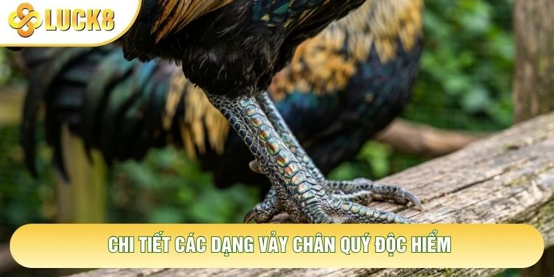 Chi tiết các dạng vảy chân quý độc hiểm Chi tiết các dạng vảy chân quý độc hiểm