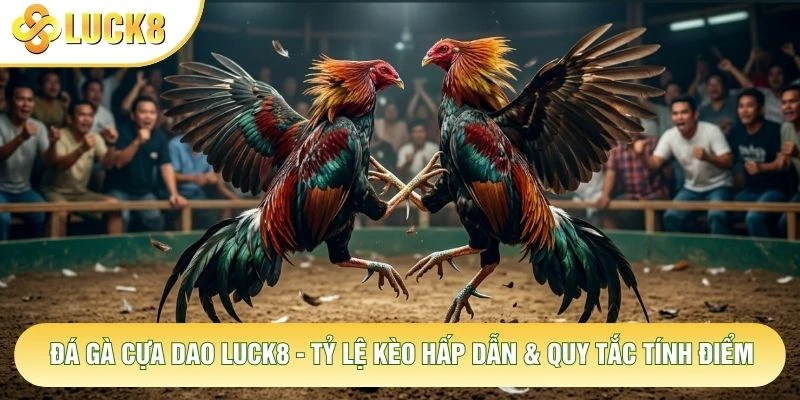 Đá Gà Cựa Dao Luck8 - Tỷ Lệ Kèo Hấp Dẫn & Quy Tắc Tính Điểm 1 Đá Gà Cựa Dao Luck8 - Tỷ Lệ Kèo Hấp Dẫn & Quy Tắc Tính Điểm