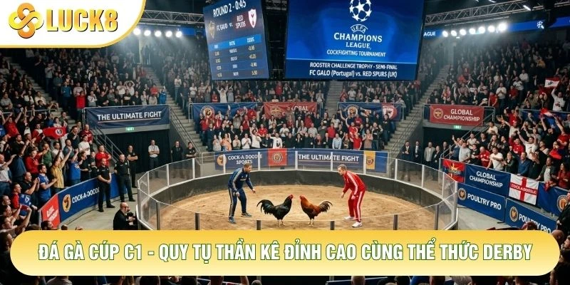Đá Gà Cúp C1 - Quy Tụ Thần Kê Đỉnh Cao Cùng Thể Thức Derby 1 Đá Gà Cúp C1 - Quy Tụ Thần Kê Đỉnh Cao Cùng Thể Thức Derby