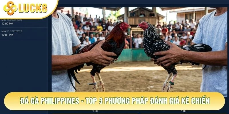 Đá Gà Philippines - Top 3 Phương Pháp Đánh Giá Kê Chiến 1 Đá Gà Philippines - Top 3 Phương Pháp Đánh Giá Kê Chiến