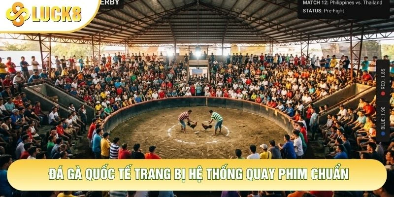 Đá gà quốc tế trang bị hệ thống quay phim chuẩn Đá gà quốc tế trang bị hệ thống quay phim chuẩn