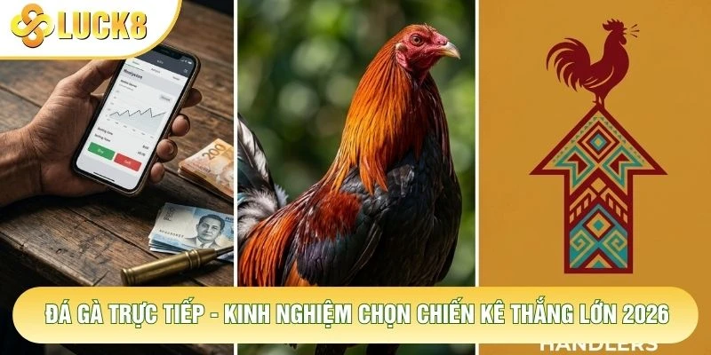 Đá Gà Trực Tiếp - Kinh Nghiệm Chọn Chiến Kê Thắng Lớn 2026 1 Đá Gà Trực Tiếp - Kinh Nghiệm Chọn Chiến Kê Thắng Lớn 2026