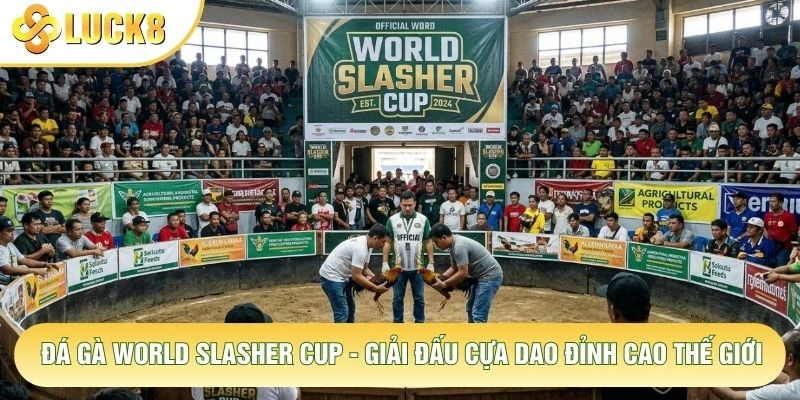 Đá Gà World Slasher Cup - Giải Đấu Cựa Dao Đỉnh Cao Thế Giới 1 Đá Gà World Slasher Cup - Giải Đấu Cựa Dao Đỉnh Cao Thế Giới
