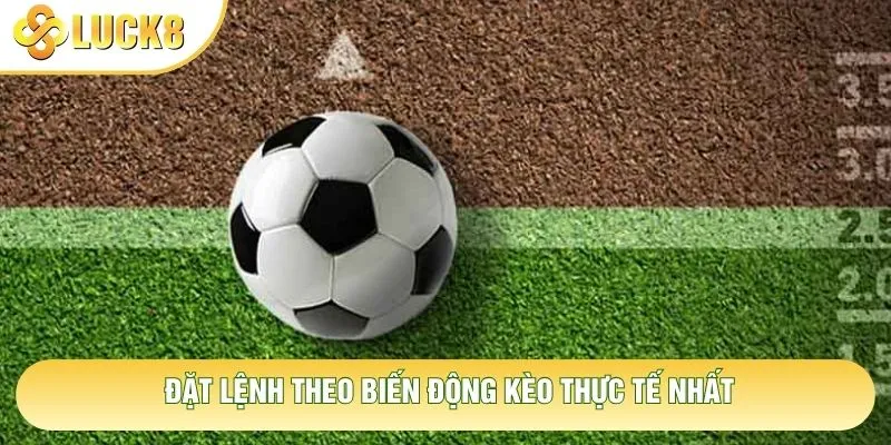 Đặt lệnh theo biến động kèo thực tế nhất