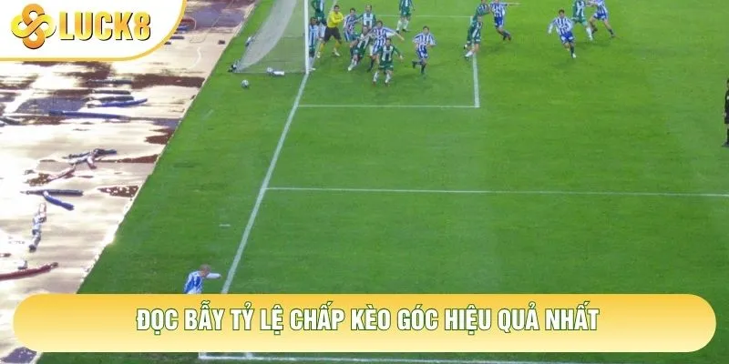 Đọc bẫy tỷ lệ chấp kèo góc hiệu quả nhất Đọc bẫy tỷ lệ chấp kèo góc hiệu quả nhất