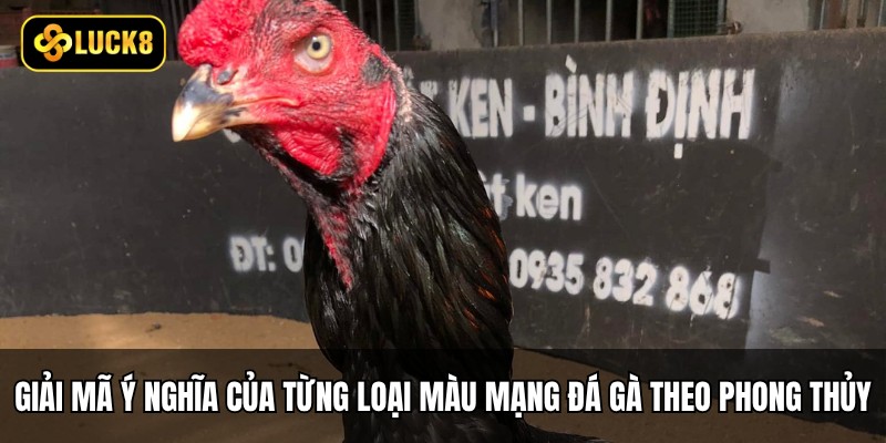 Giải mã ý nghĩa của từng loại màu mạng đá gà theo phong thủy