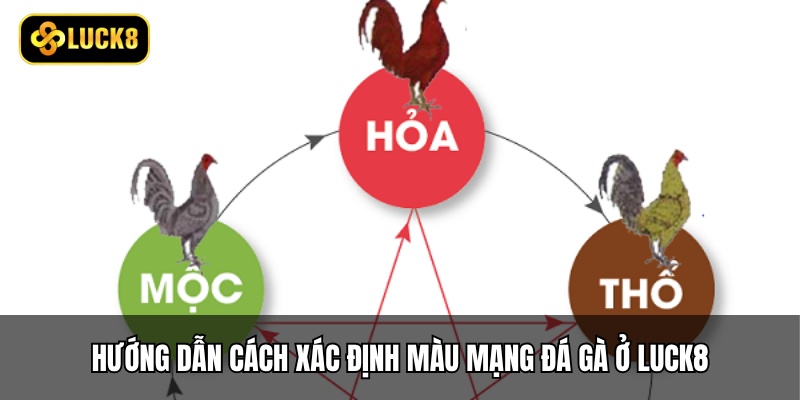 Hướng dẫn cách xác định màu mạng đá gà ở Luck8