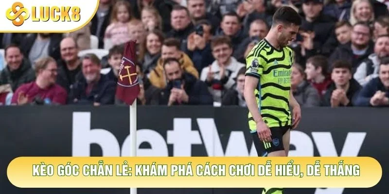 Kèo Góc Chẵn Lẻ: Khám Phá Cách Chơi Dễ Hiểu, Dễ Thắng 8 Kèo Góc Chẵn Lẻ: Khám Phá Cách Chơi Dễ Hiểu, Dễ Thắng