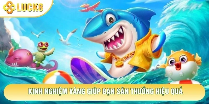 Kinh nghiệm vàng giúp bạn săn thưởng hiệu quả Kinh nghiệm vàng giúp bạn săn thưởng hiệu quả