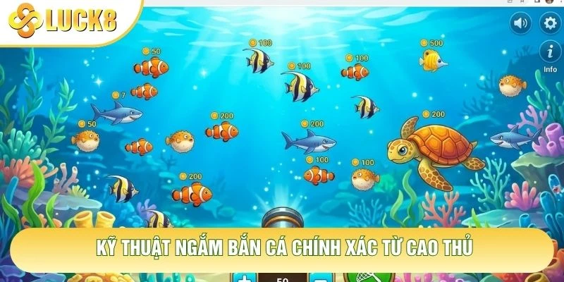 Kỹ thuật ngắm bắn cá chính xác từ cao thủ Kỹ thuật ngắm bắn cá chính xác từ cao thủ