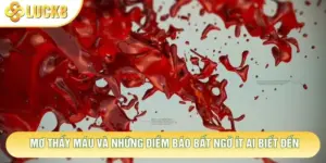 Mơ Thấy Máu Và Những Điềm Báo Bất Ngờ Ít Ai Biết Đến