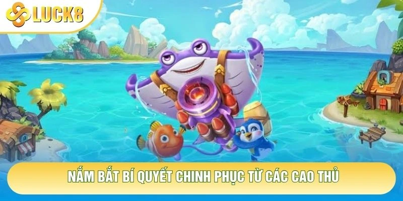 Nắm bắt bí quyết chinh phục từ các cao thủ Nắm bắt bí quyết chinh phục từ các cao thủ