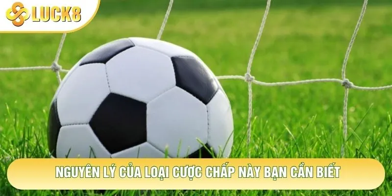 Nguyên lý của loại cược chấp này bạn cần biết