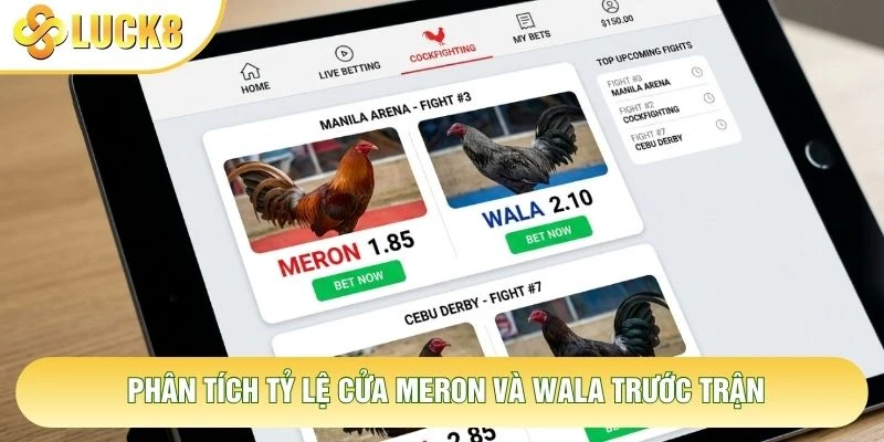 Phân tích tỷ lệ cửa Meron và Wala trước trận Phân tích tỷ lệ cửa Meron và Wala trước trận