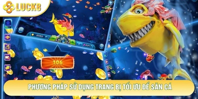 Phương pháp sử dụng trang bị tối ưu để săn cá Phương pháp sử dụng trang bị tối ưu để săn cá