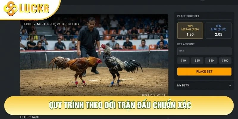Quy trình theo dõi trận đấu chuẩn xác Quy trình theo dõi trận đấu chuẩn xác