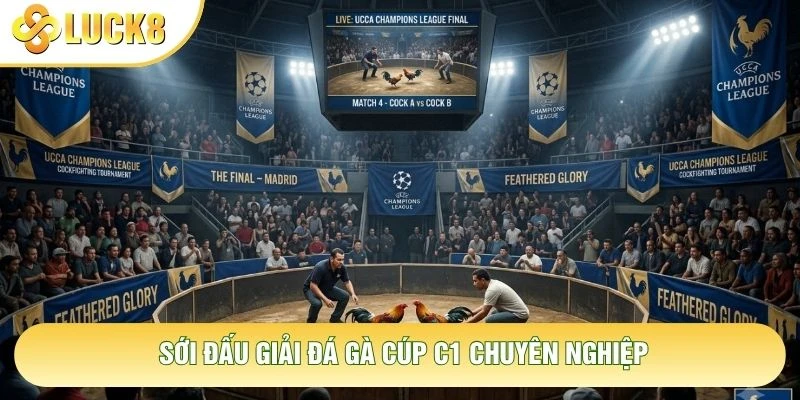 Sới đấu giải đá gà cúp C1 chuyên nghiệp Sới đấu giải đá gà cúp C1 chuyên nghiệp