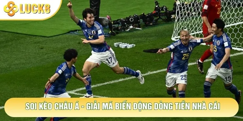 Soi Kèo Châu Á - Giải Mã Biến Động Dòng Tiền Nhà Cái