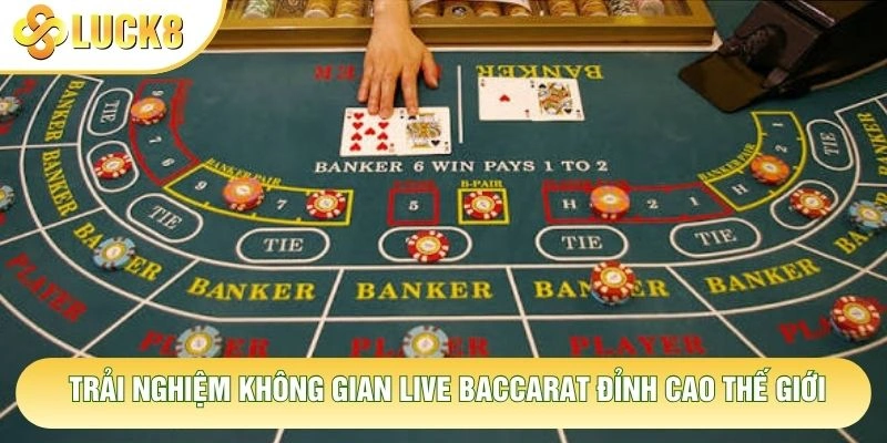 Trải nghiệm không gian live baccarat đỉnh cao thế giới Trải nghiệm không gian live baccarat đỉnh cao thế giới