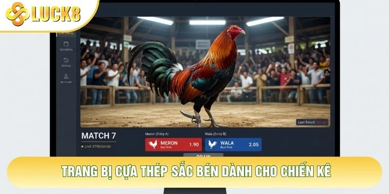 Trang bị cựa thép sắc bén dành cho chiến kê Trang bị cựa thép sắc bén dành cho chiến kê