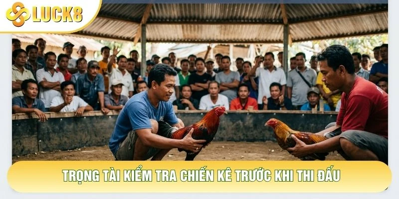 Trọng tài kiểm tra chiến kê trước khi thi đấu Trọng tài kiểm tra chiến kê trước khi thi đấu